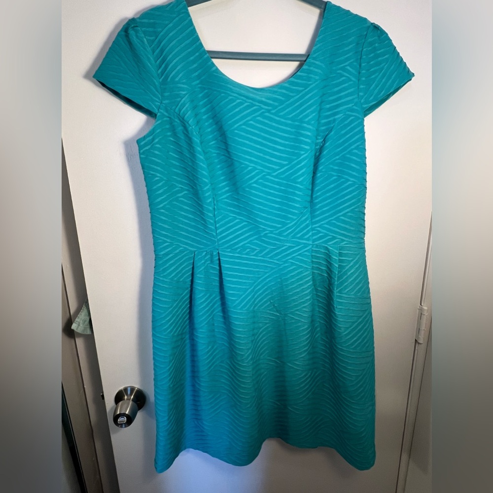 Brand new plus size dress